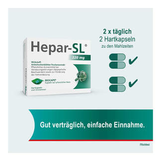 Grafik Hepar SL 320 mg Anwendungshinweise