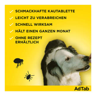 AdTab Kautabletten für Hunde Eigenschaften