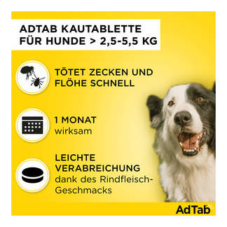AdTab Kautabletten für Hunde über 2,5 bis 5,5 kg Merkmale