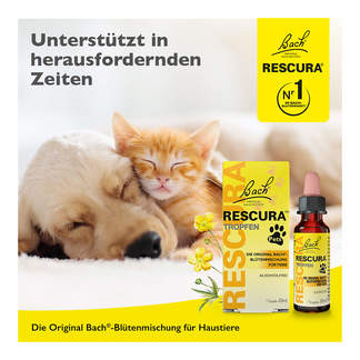 Grafik Bachblüten Original Rescura Pets Alkoholfrei Unterstützt in herausfordernden Zeiten
