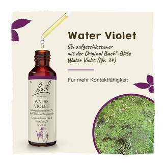 Grafik Bachblüte Water Violet Tropfen