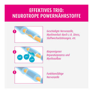Grafik Doloctan forte Kapseln Neurotrope Powernährstoffe