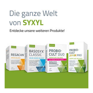 Grafik Syxyl Produktsortiment