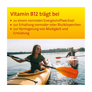 Grafik Vitamin B12 Hevert 450 µg Tabletten Anwendungsgebiete