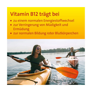 Grafik Vitamin B12 Hevert Direkt-Spray Anwendungsgebiete