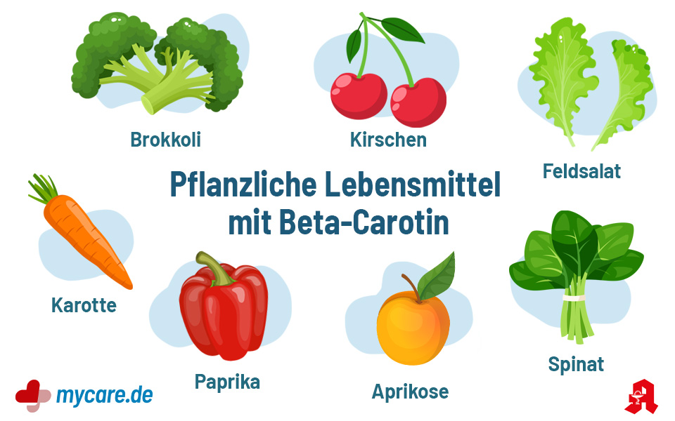 Pflanzliche Lebensmittel mit Beta-Carotin: Brokkoli, Kirschen, Feldsalat, Karotte, Paprika, Aprikose, Spinat.