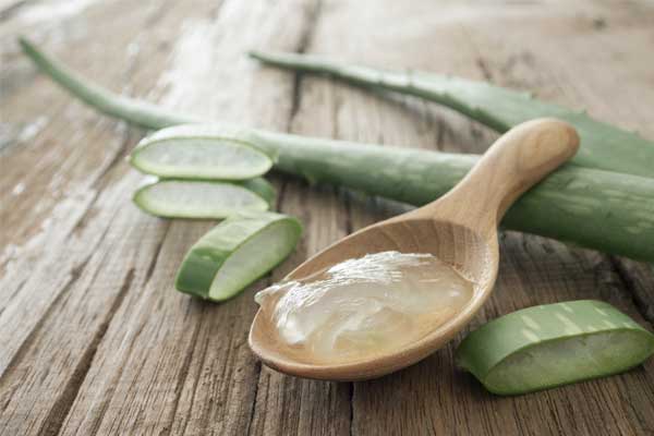 Warum ist Aloe-Vera gut für die Haut?