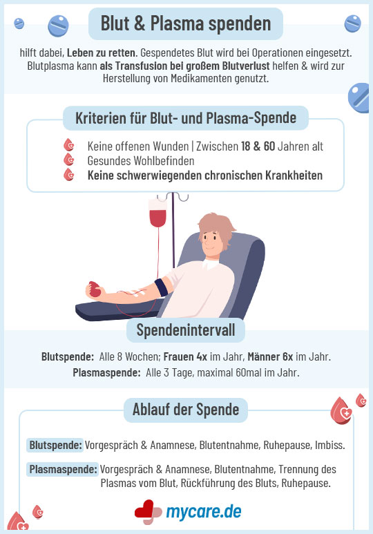Infografik Blutspende und Plasmaspende: Kriterien, Spendenintervall, Ablauf
