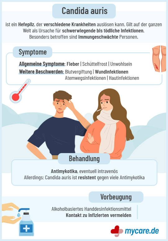 Infografik Candida auris: Symptome, Behandlung & Vorbeugung