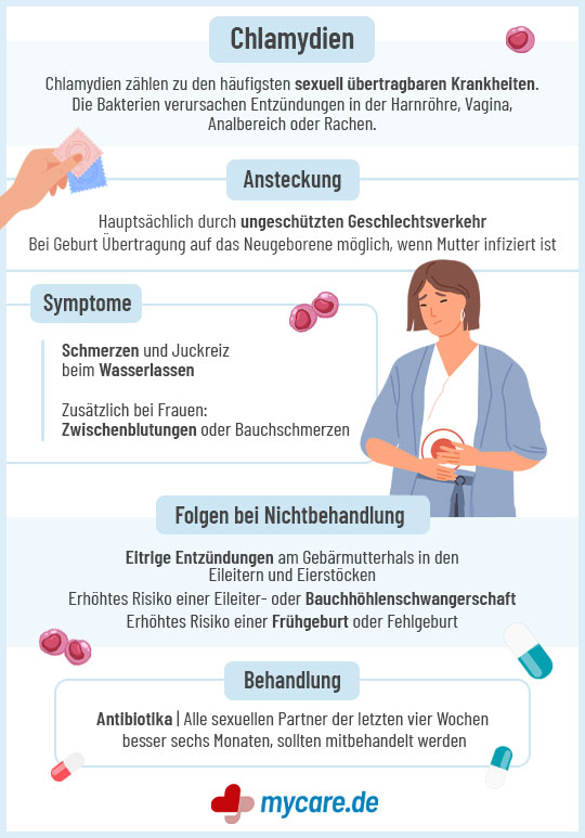 Infografik Chlamydien: Symptome, Behandlung, Folgen bei Nichtbehandlung