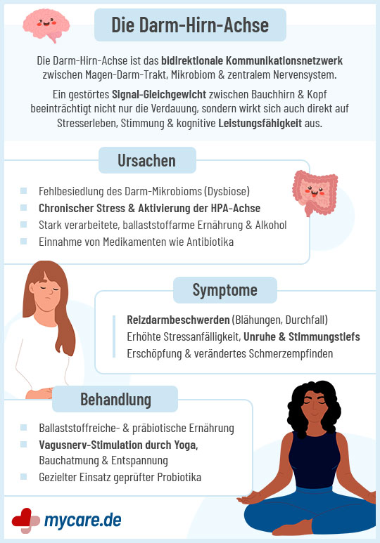 Infografik Darm-Hirn-Achse: Ursachen, Symptome und Behandlung. Infografik Darm-Hirn-Achse: Ursachen, Symptome und Behandlung.