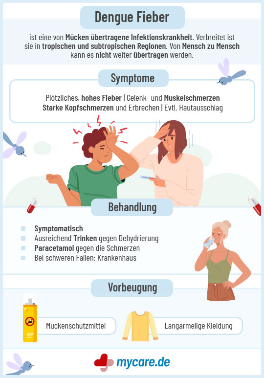 Infografik Dengue Fieber: Symptome, Behandlung und Vorbeugung