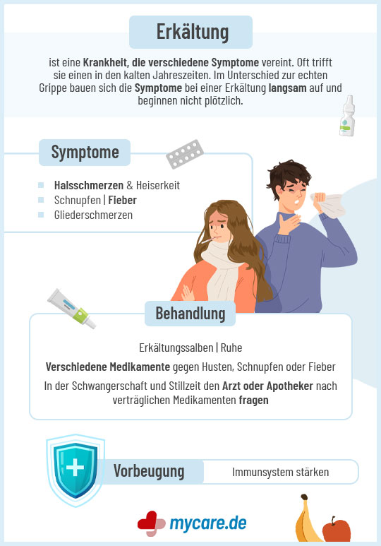 Infografik Erkältung: Symptome Behandlung Vorbeugung
