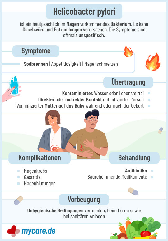 Infografik Helicobacter pylori: Symptome, Übertragung, Behandlung und Vorbeugung