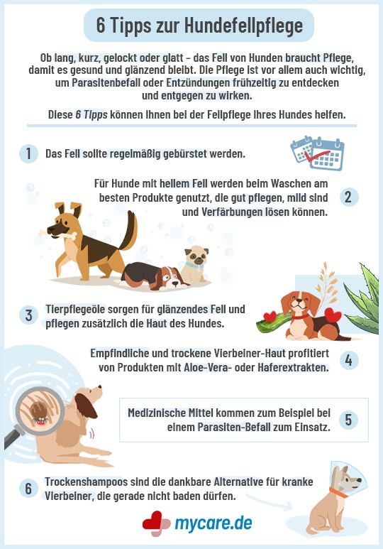 Infografik: 6 Tipps zur Hundefellpflege