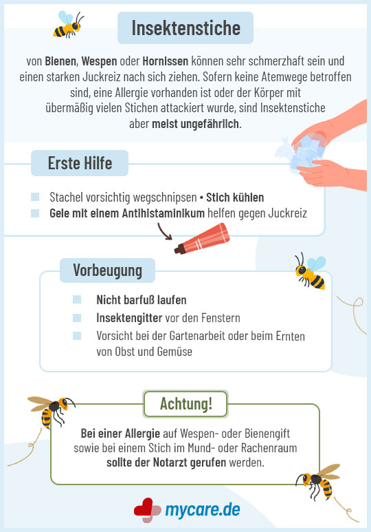 Infografik Insektenstiche: Erste Hilfe und Vorbeugung