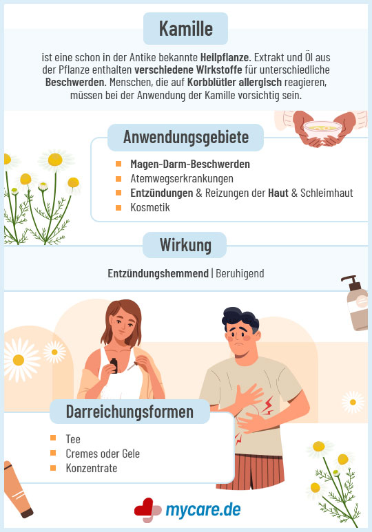 Infografik Kamille: Anwendungsgebiete, Wirkung & Darreichungsformen Infografik Kamille: Anwendungsgebiete, Wirkung & Darreichungsformen