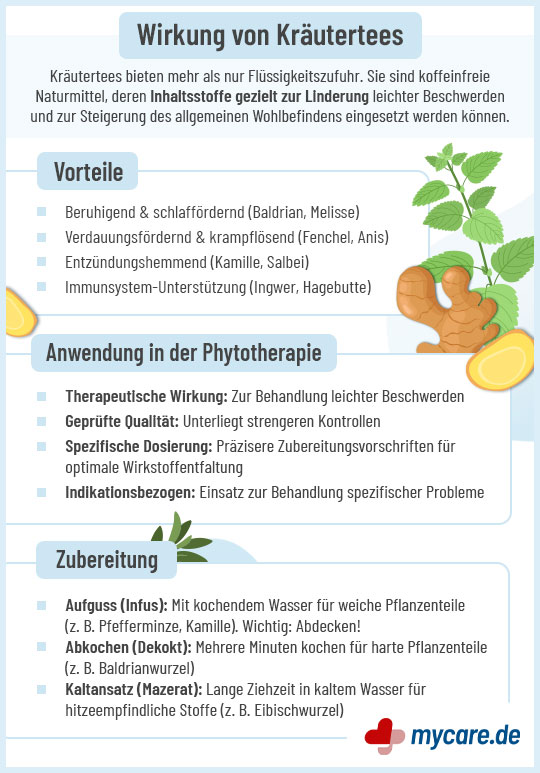 Infografik zur Wirkung von Kräutertees mit Vorteilen, Anwendung in der Phytotherapie und Zubereitungsarten wie Aufguss, Abkochen und Kaltauszug. Infografik zur Wirkung von Kräutertees mit Vorteilen, Anwendung in der Phytotherapie und Zubereitungsarten wie Aufguss, Abkochen und Kaltauszug.