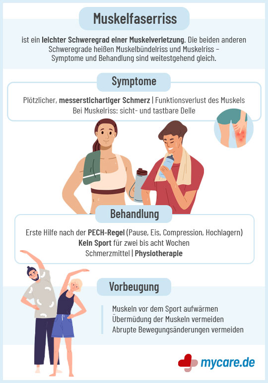 Infografik Muskelfaserriss: Symptome, Behandlung, Vorbeugung