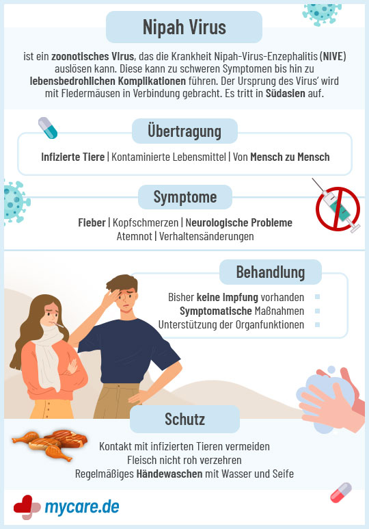 Infografik Nipah Virus: Übertragung, Symptome, Behandlung & Schutz