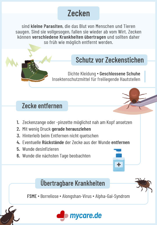 Infografik Zecken: Schutz vor Zeckenstichen, Zecke entfernen, übertragbare Krankheiten Infografik Zecken: Schutz vor Zeckenstichen, Zecke entfernen, übertragbare Krankheiten