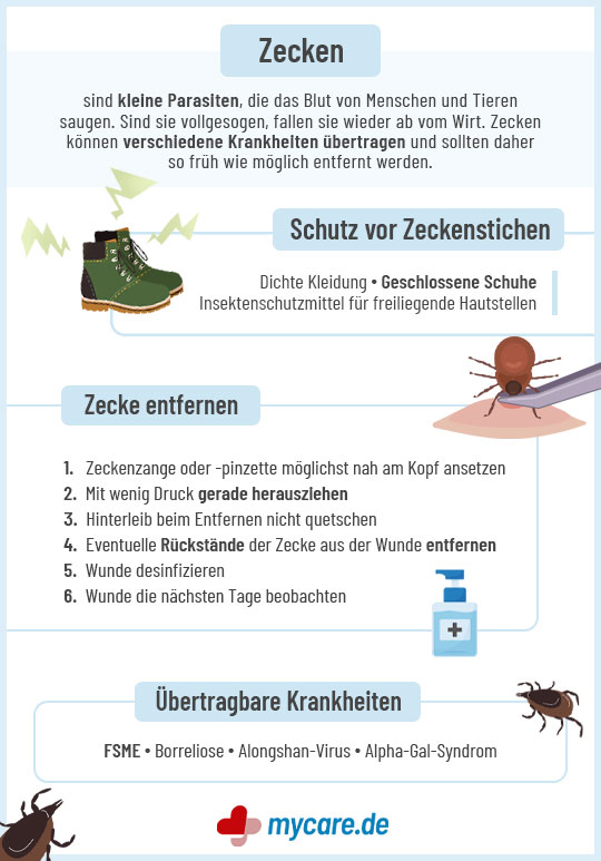 Infografik Zecken: Schutz vor Zeckenstichen, Zecke entfernen, übertragbare Krankheiten