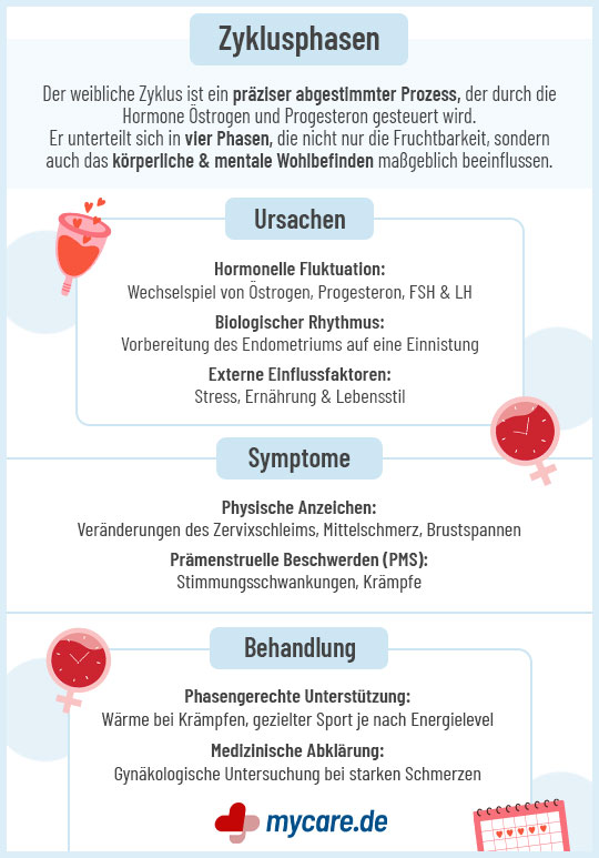 Infografik zu Zyklusphasen mit Ursachen, Symptomen und Behandlung des weiblichen Zyklus, erklärende Texte und Illustrationen Infografik zu Zyklusphasen mit Ursachen, Symptomen und Behandlung des weiblichen Zyklus, erklärende Texte und Illustrationen