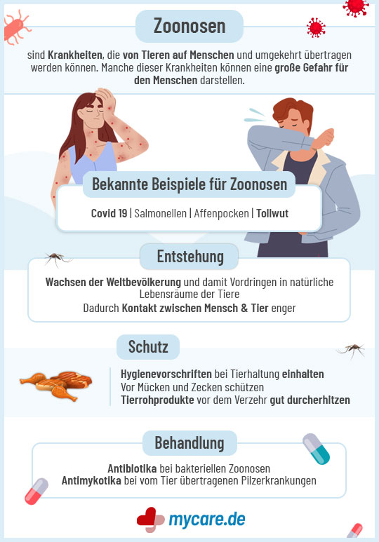 Infografik Zoonosen: Entstehung, Beispiele und Schutz Infografik Zoonosen: Entstehung, Beispiele und Schutz