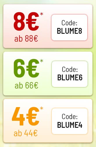 Grafik mit drei Gutschein-Stufen: 8 € Rabatt ab 88 € mit Code BLUME8, 6 € Rabatt ab 66 € mit Code BLUME6 und 4 € Rabatt ab 44 € mit Code BLUME4, farblich hervorgehoben.
