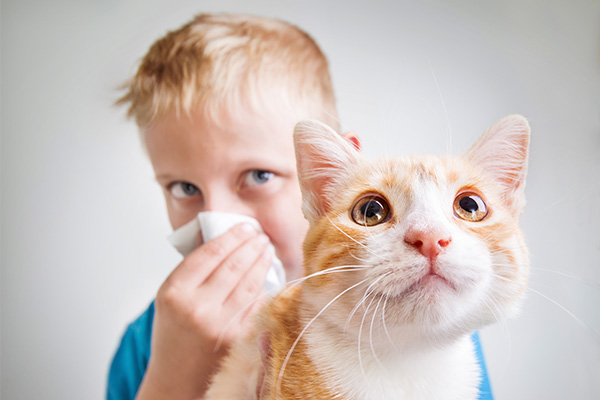 Junge mit Katzenhaarallergie