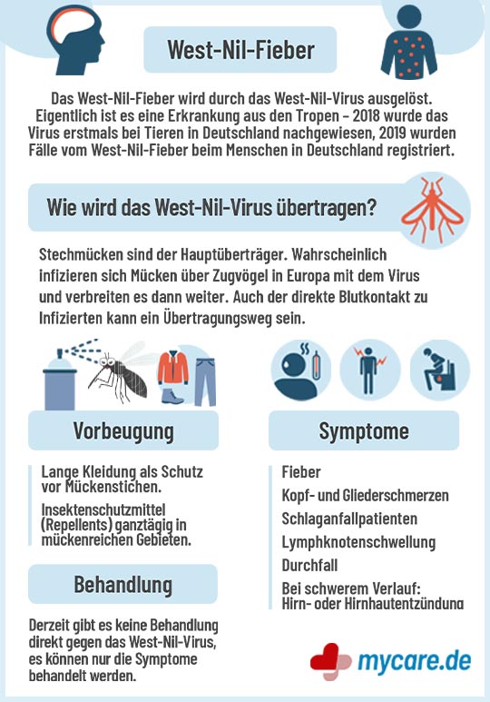 Infografik West-Nil-Fieber: Infografik West-Nil-Fieber: Symptome, Behandlung, Vorbeugung