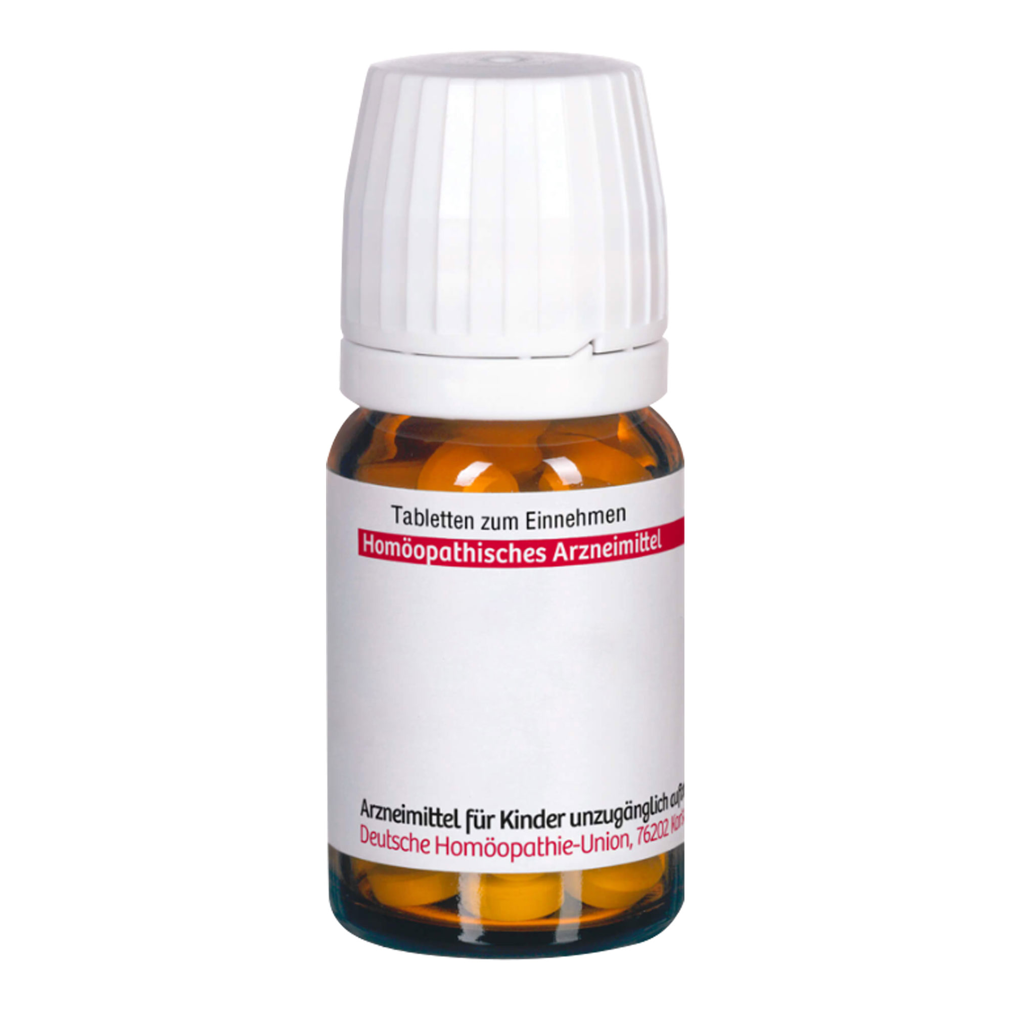 SPARTIUM SCOPARIUM D12