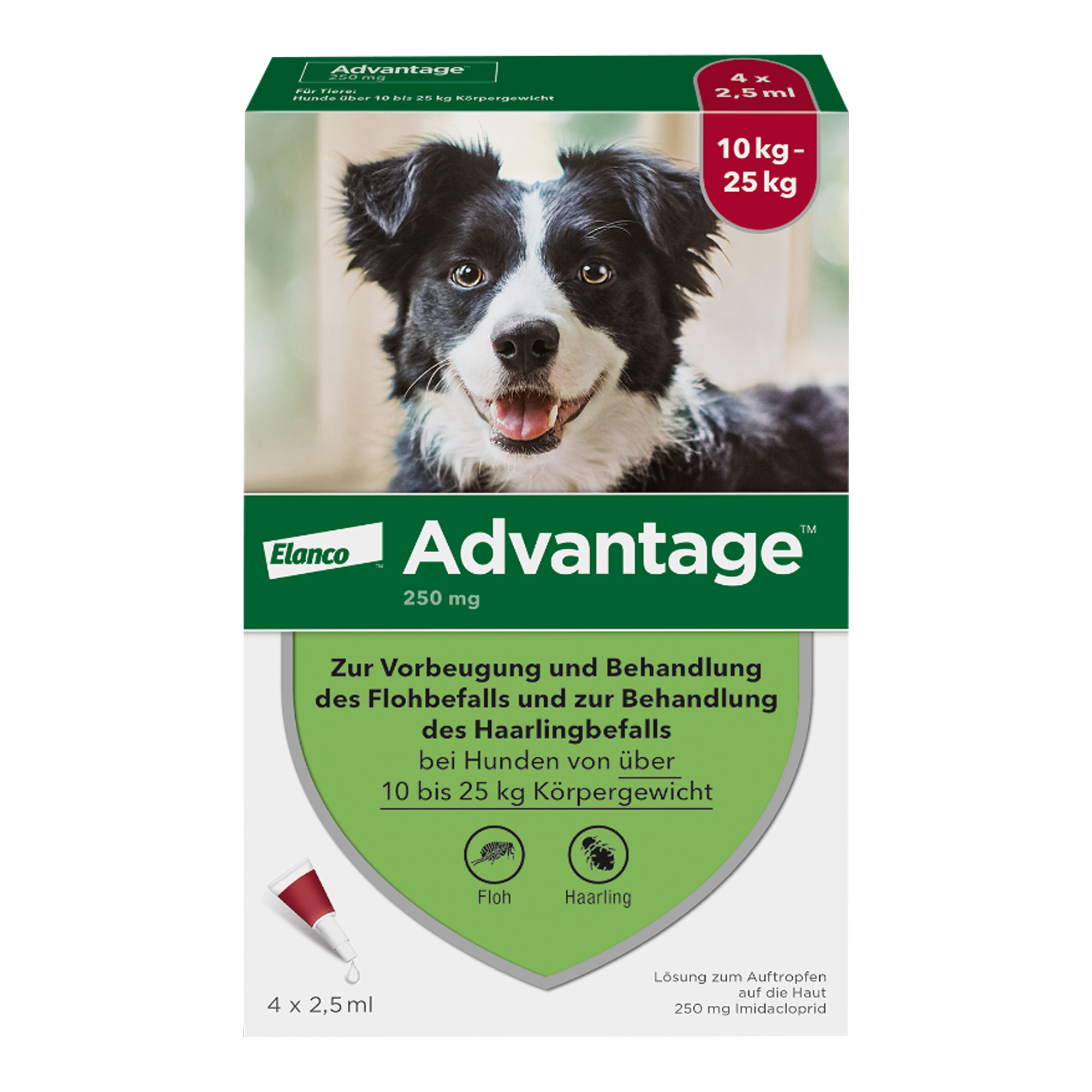 Advantage 250 Hund