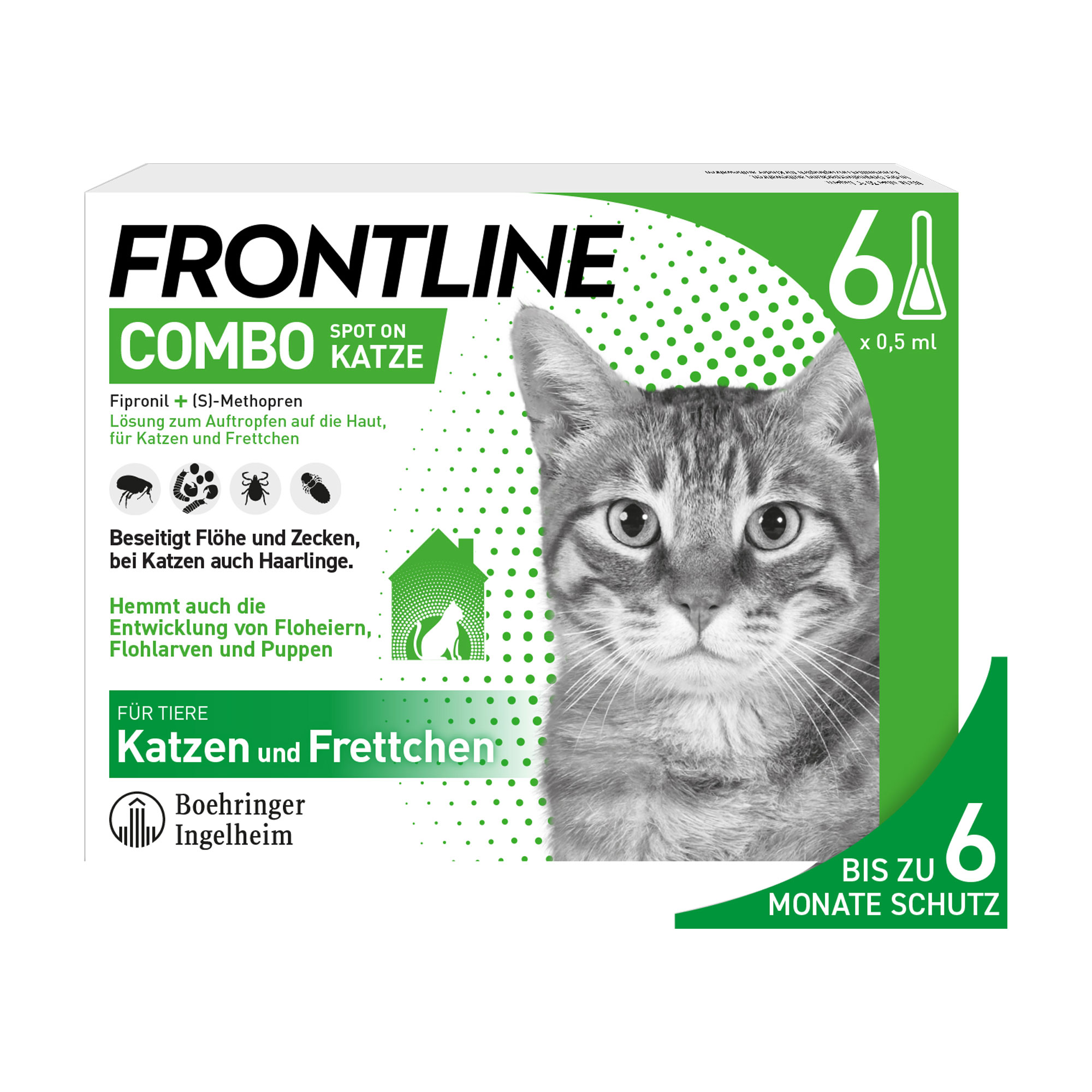 Frontline Combo Spot on Katze