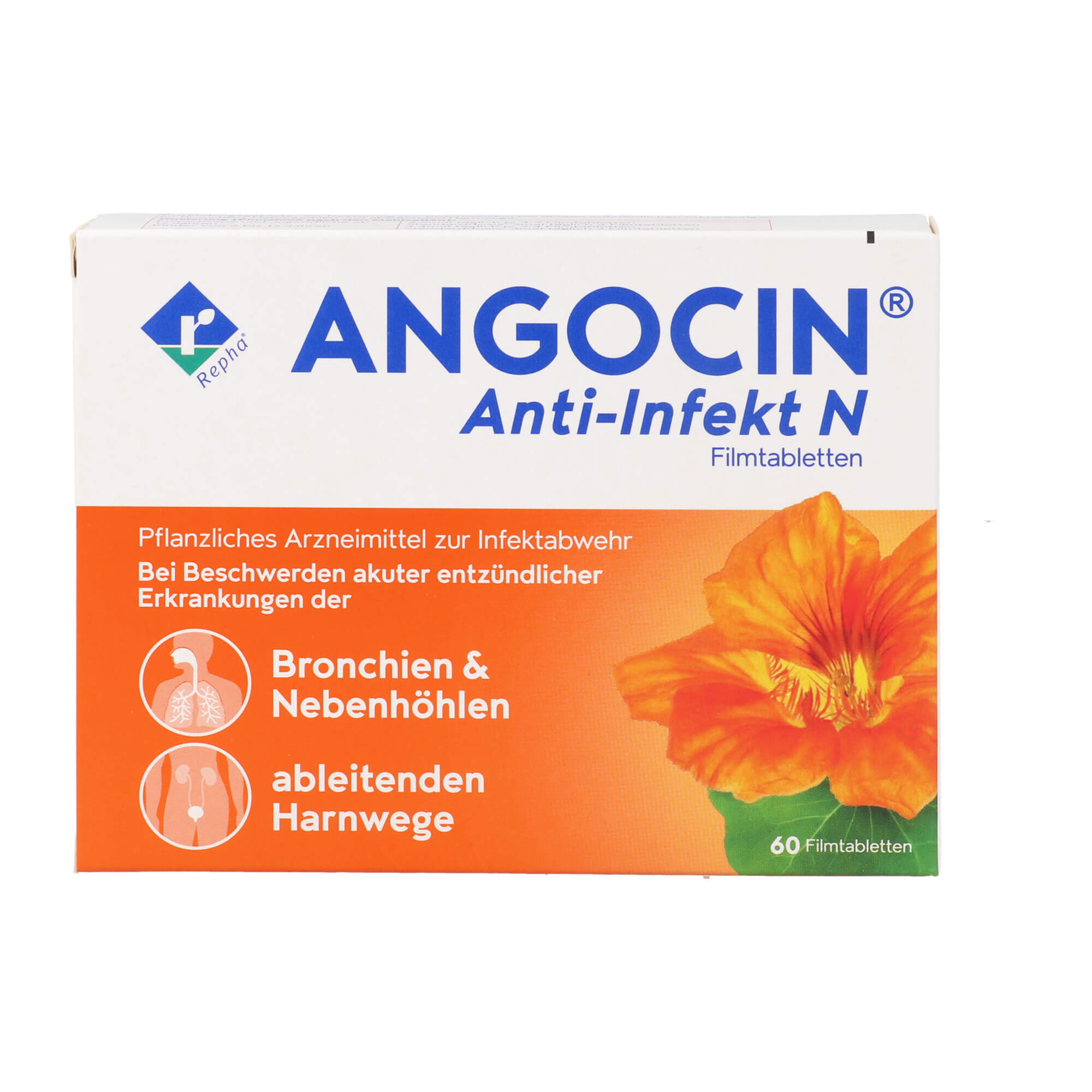 Angocin Anti-Infekt N Filmtabletten