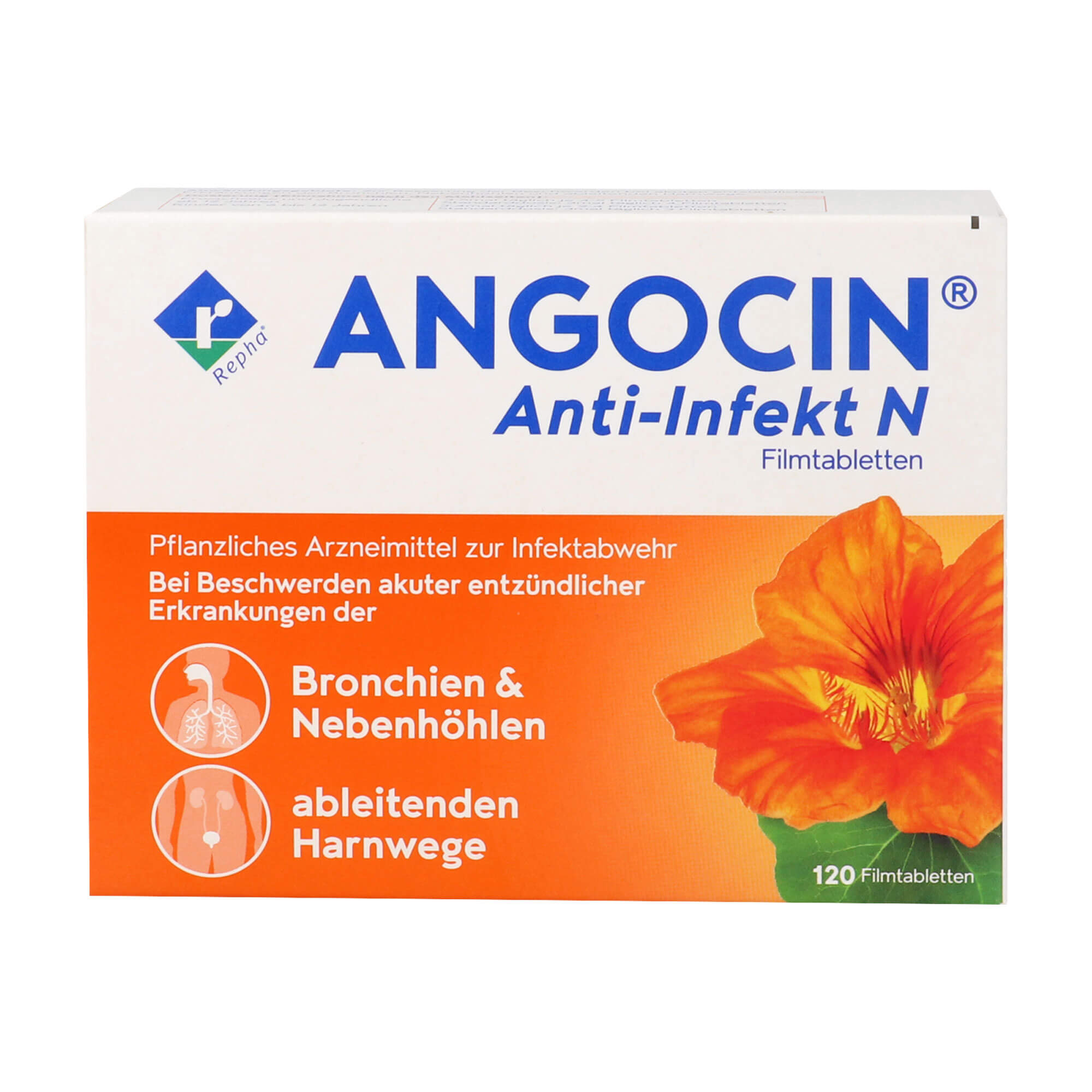 Angocin Anti-Infekt N Filmtabletten